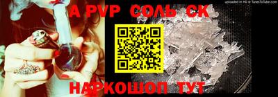 гашик Кингисепп