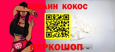гашик Кингисепп