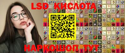 гашик Кингисепп