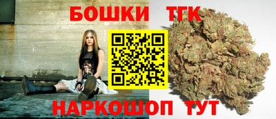 гашик Кингисепп
