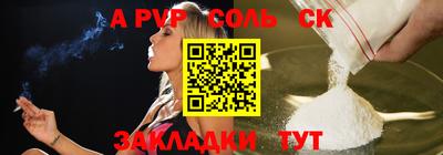 гашик Кингисепп