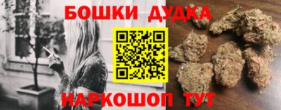 гашик Кингисепп
