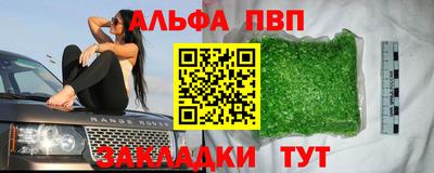 гашик Кингисепп