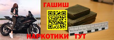 гашик Кингисепп