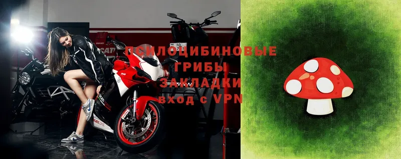 маркетплейс официальный сайт Пыть-Ях Галлюциногенные грибы мицелий
