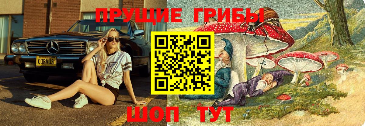 Пыть-Ях  Псилоцибиновые грибы GOLDEN TEACHER  Вход с VPN 