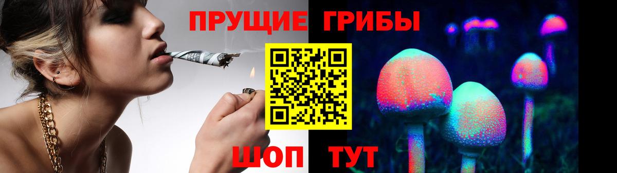 Псилоцибиновые грибы Psilocybine cubensis Пыть-Ях